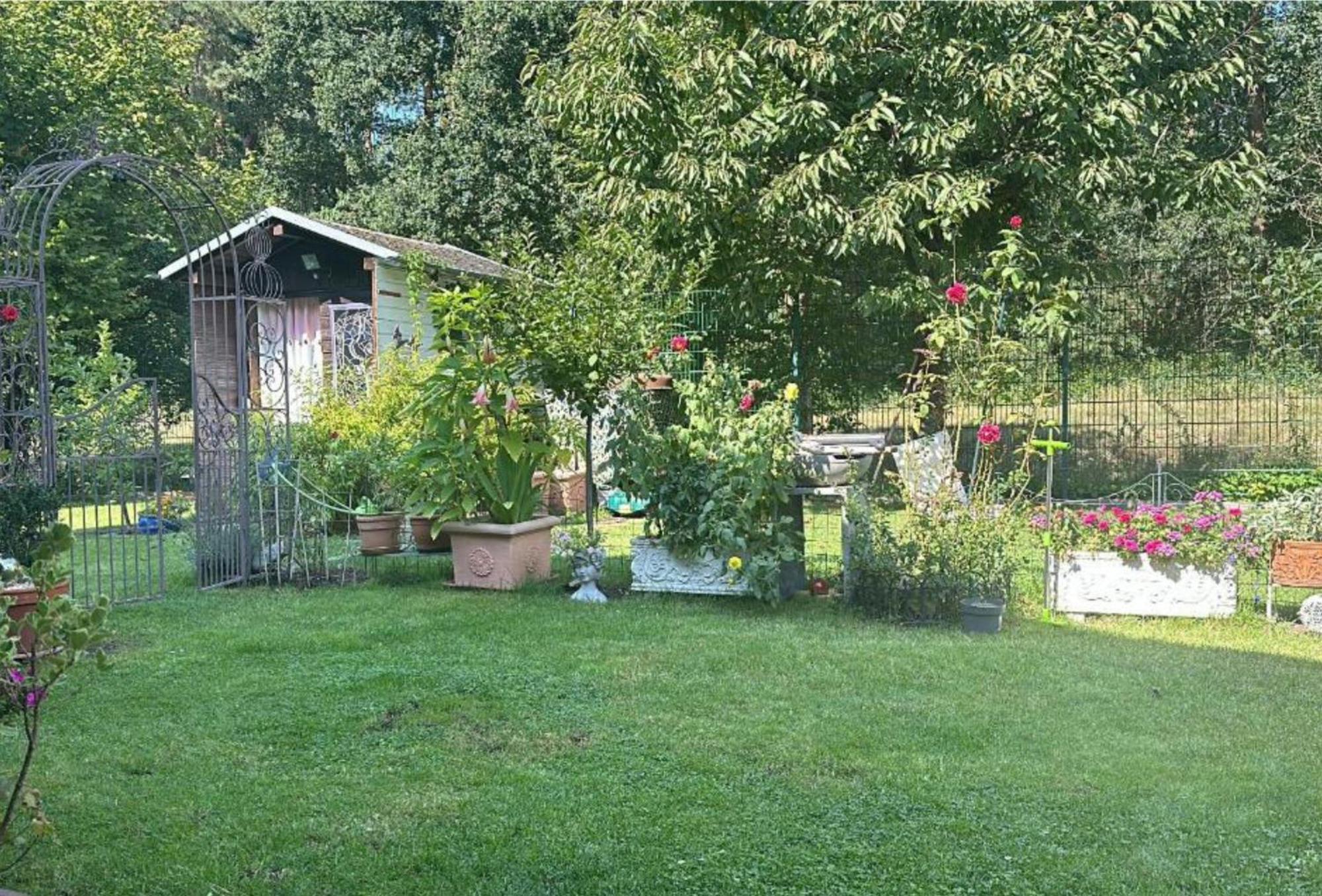 Grosse Helle Wohnung Am Wald In Bad Saarow Nahe Gruenheide Und Berlin Souterrain 外观 照片